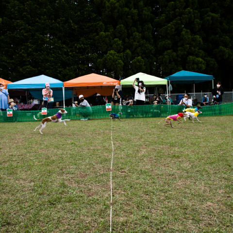 base_wp-bc8-7890