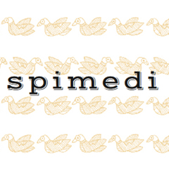 base_wp-spimedi