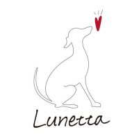 base_wp-lunetta