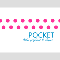 base_wp-pocket02