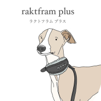 base_wp-raktfram