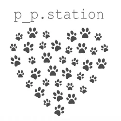 base_wp-3.pps480