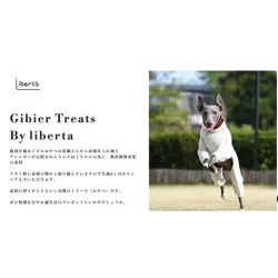 base_wp-6.liberta