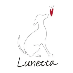 base_wp-7.lunetta480
