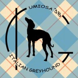 base_wp-base-wp-240519-tutti-umiosa-37-38-scaled-e1716286630377