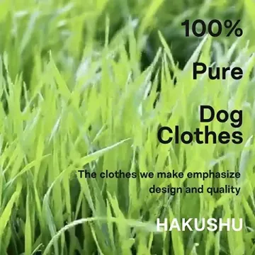 base_wp-5.hakushu-5.hakushu