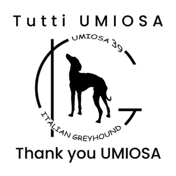 base_wp-thank-you-umiosa-thank-you-umiosa