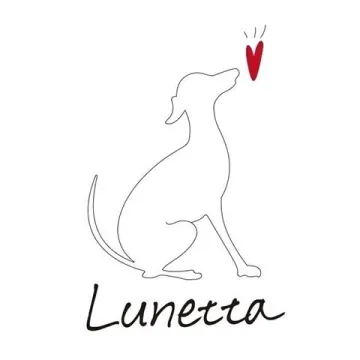 base_wp-10.lunetta480-10.lunetta480