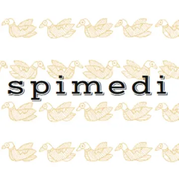 base_wp-2.spimedi-2.spimedi