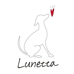 base_wp-10.lunetta480-10.lunetta480