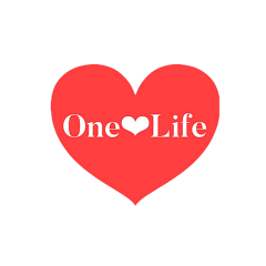 base_wp-onelife