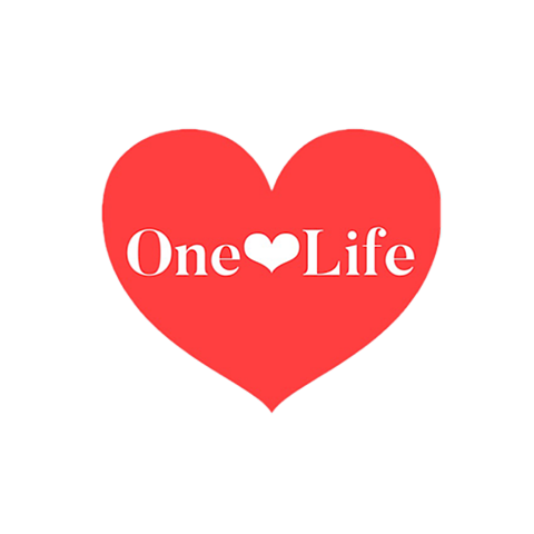 base_wp-onelife
