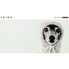 base_wp-soima