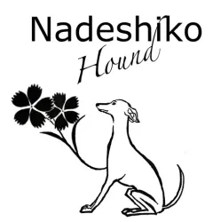 base_wp-7.nadeshikohound480