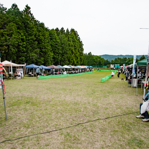 base_wp-bd3-9285