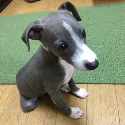 レノン
