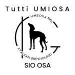 TUTTI UMIOSA 40