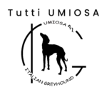 Tutti UMIOSA 41