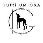 Tutti UMIOSA 42