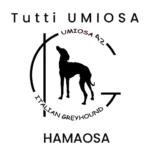 Tutti UMIOSA 42