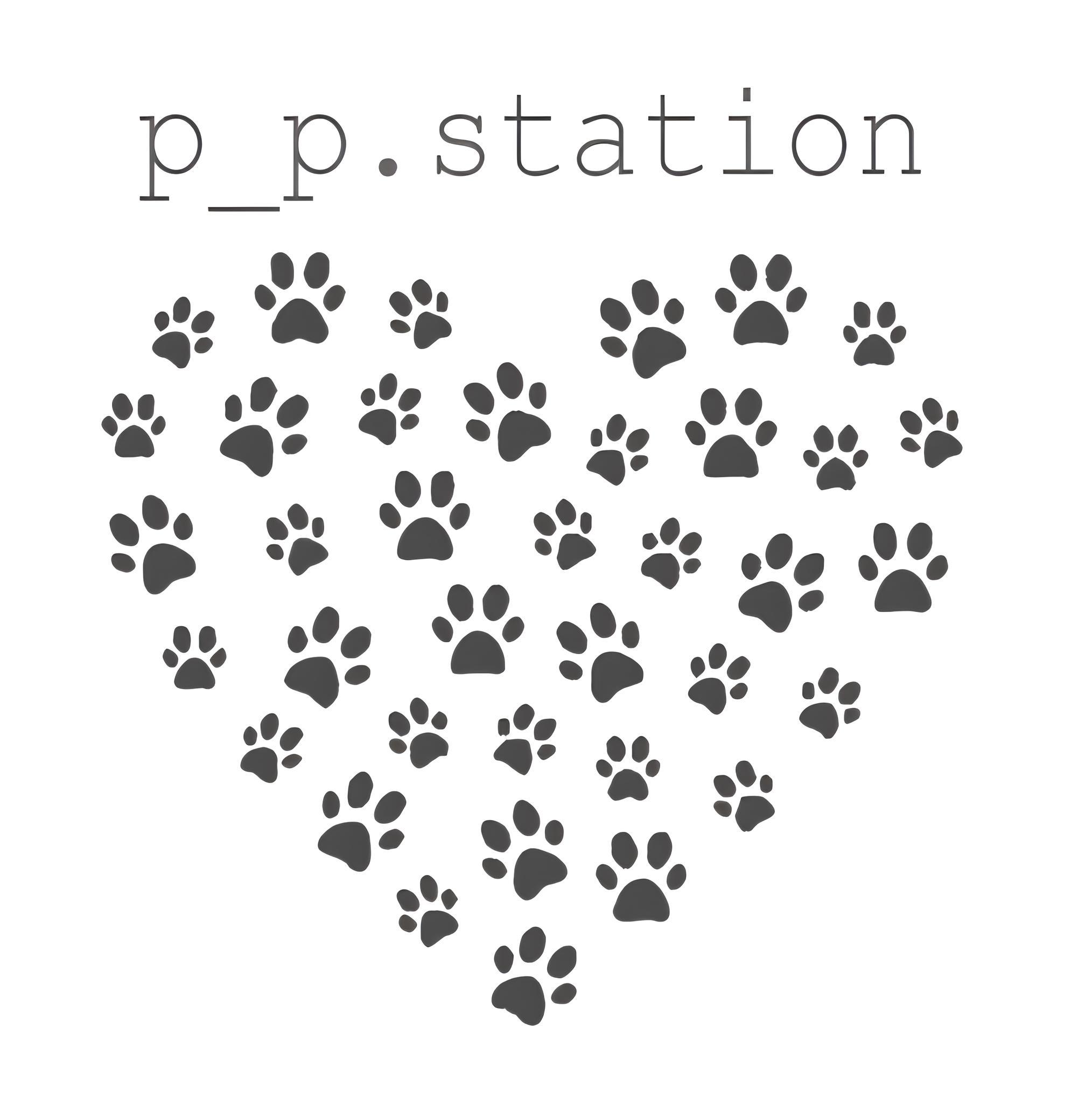 p_p.station